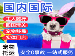 中川机场快递国际宠物托运 【国